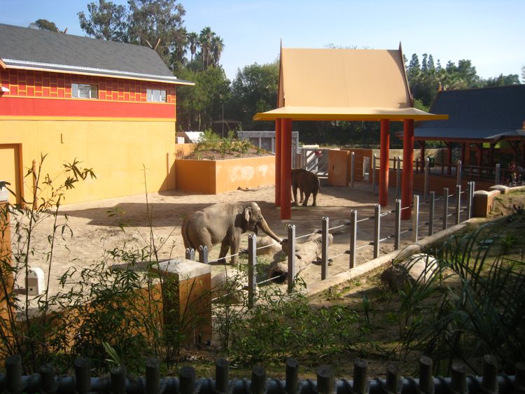 Visit to the LA Zoo Christmas 2010