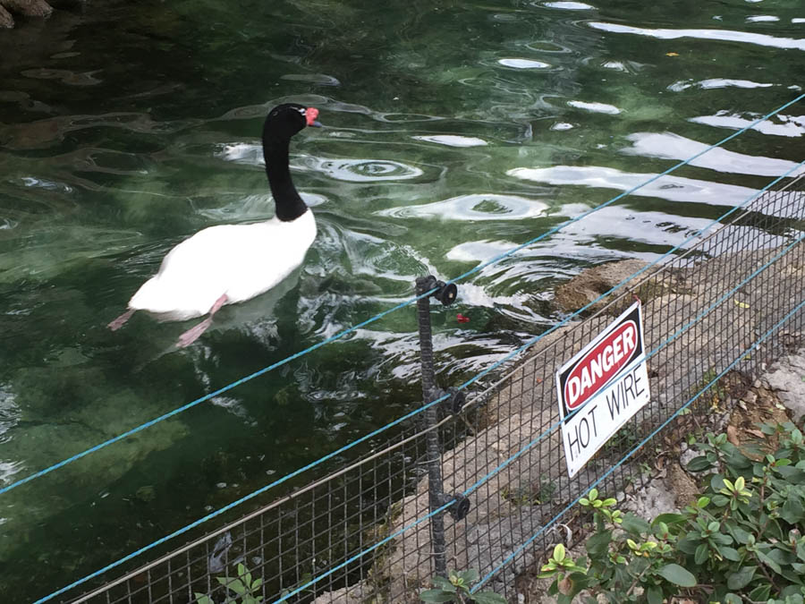 Los Angeles Zoo January 2015