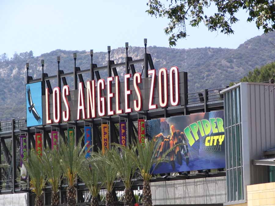 Our Visits To The Los Angeles Zoo
