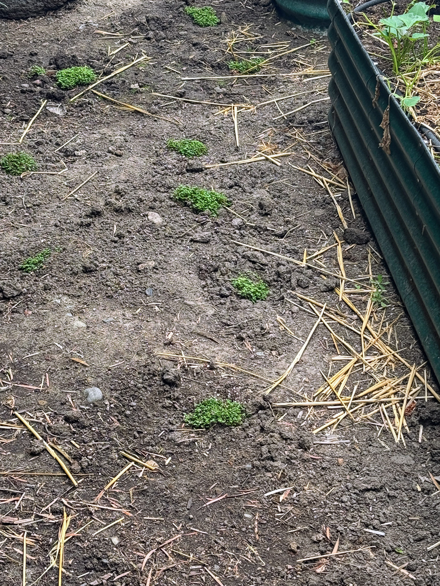 Celebrating our 4th snniversary