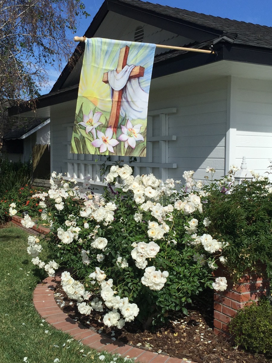 Springtime walk in Rossmoor 3/29/2015