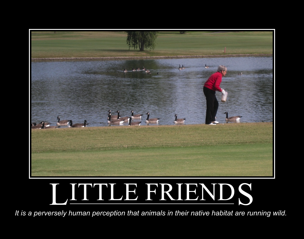 Motivational Image