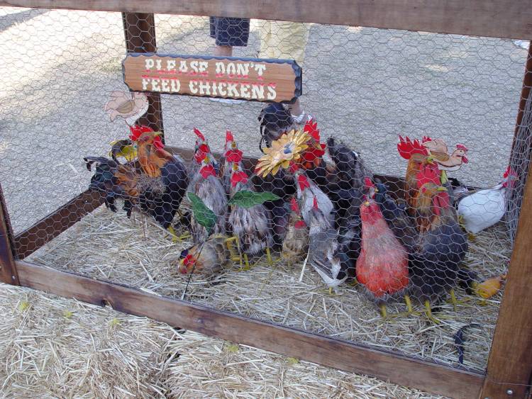 OC Fair 2003