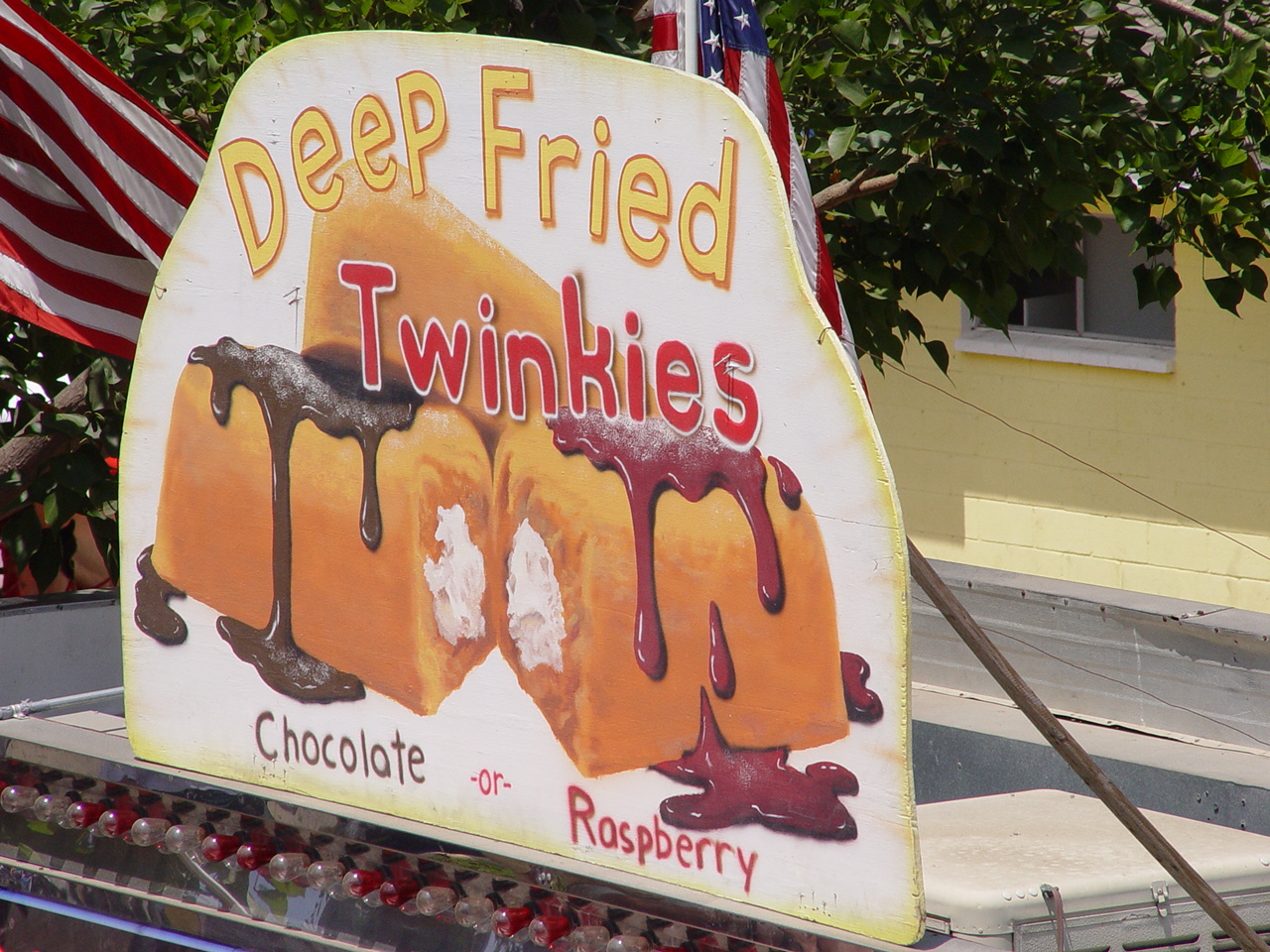 OC Fair with the Linds 2004