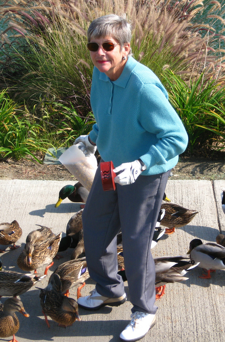 Feeding the ducks'