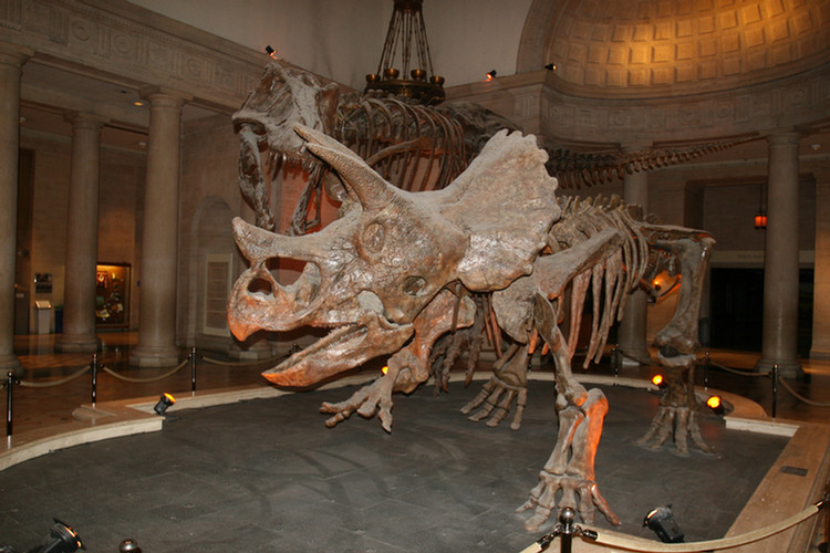 LA Natural History Museum 10/2009