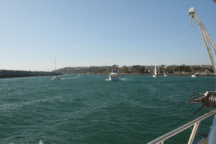 Dana Point Whale Watch 3/14/2010