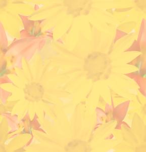 Pauls Rotation Backgrounds