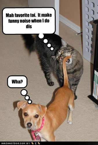 Funny fellas