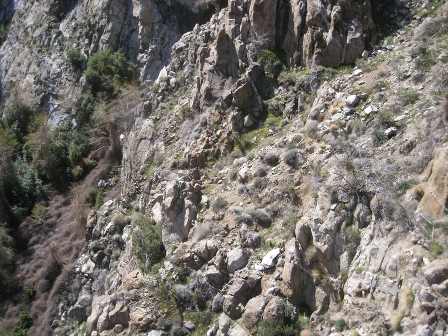 Aerial Tramway with Bunny 3/9/2011