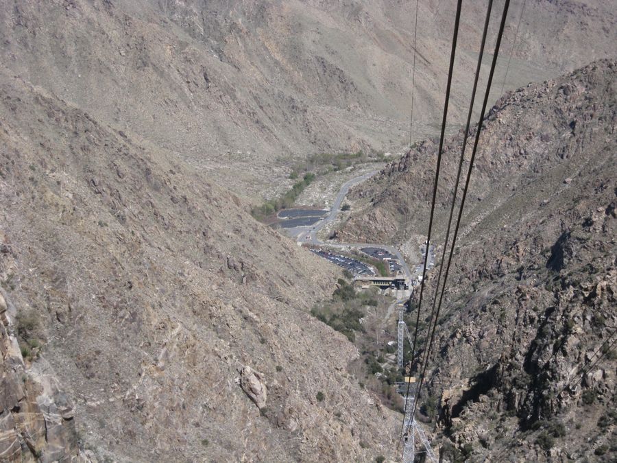 Aerial Tramway with Bunny 3/9/2011