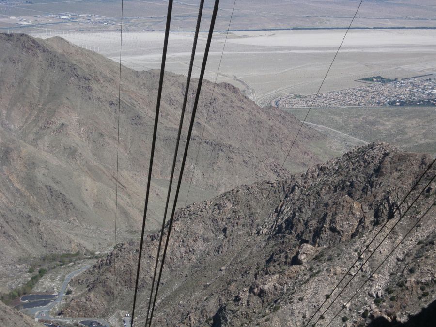 Aerial Tramway with Bunny 3/9/2011