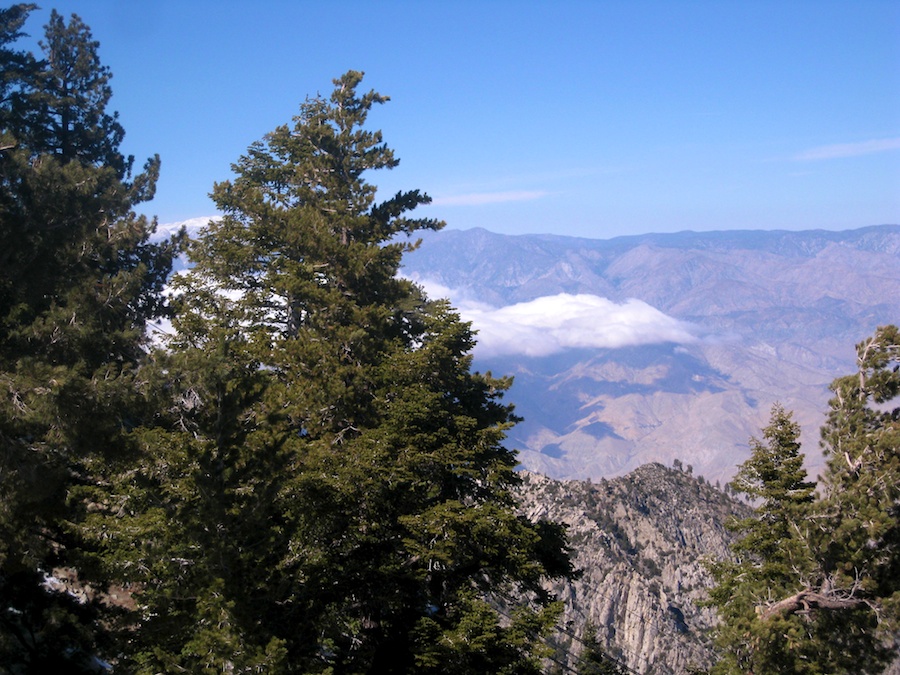 March 1st 2012 visit to the Palm Springs Tramway!