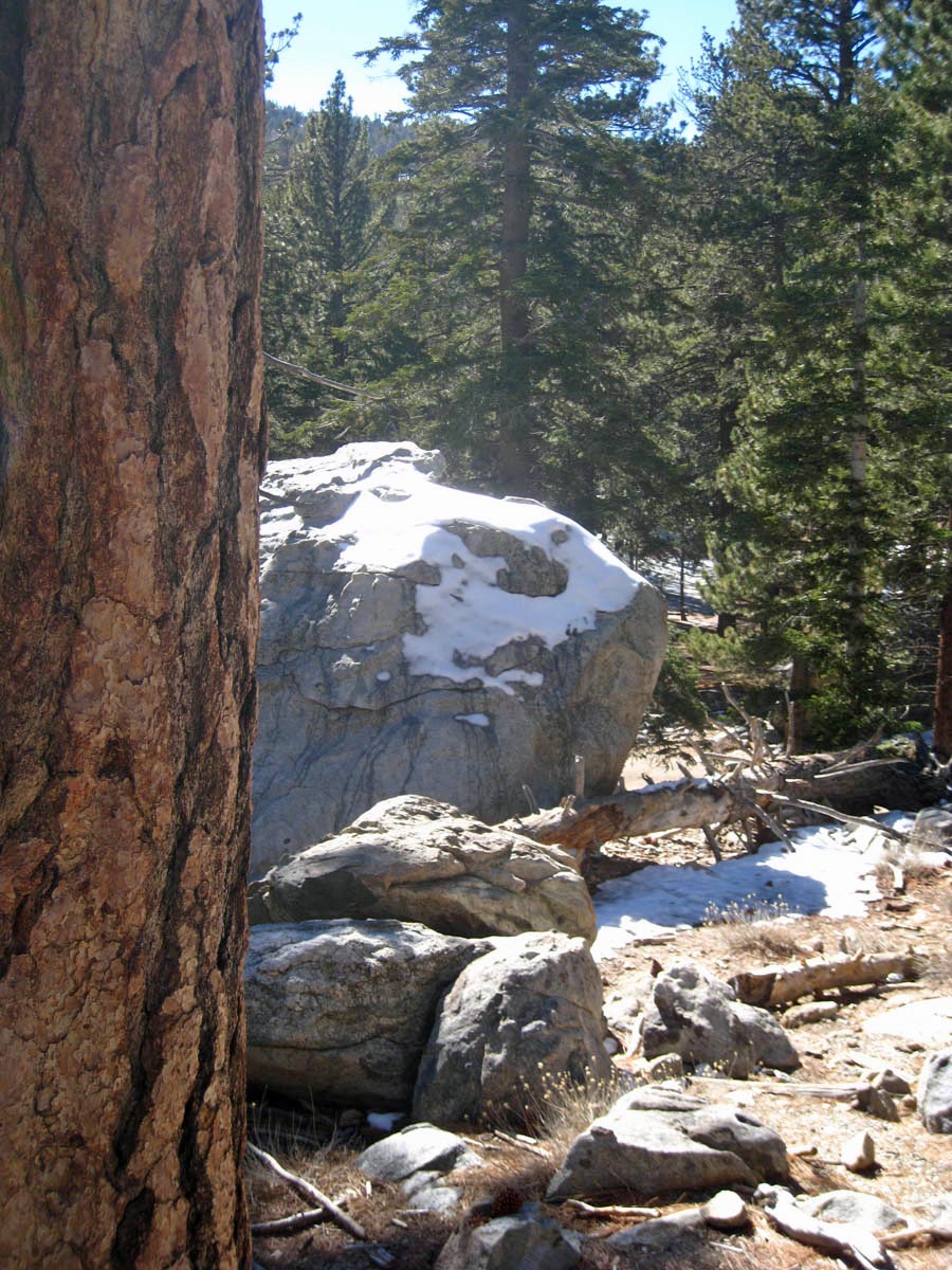 Palm Springs Aerial Tramway 2/5/2015