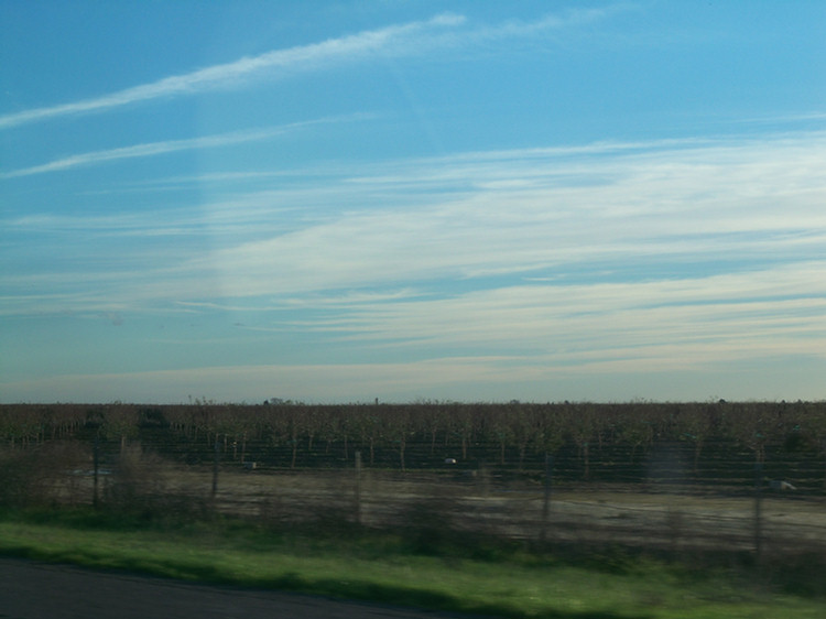 Quick trip north for Christmas 2010 with the Carri-Cam