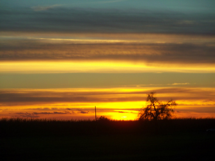 Quick trip north for Christmas 2010 with the Carri-Cam