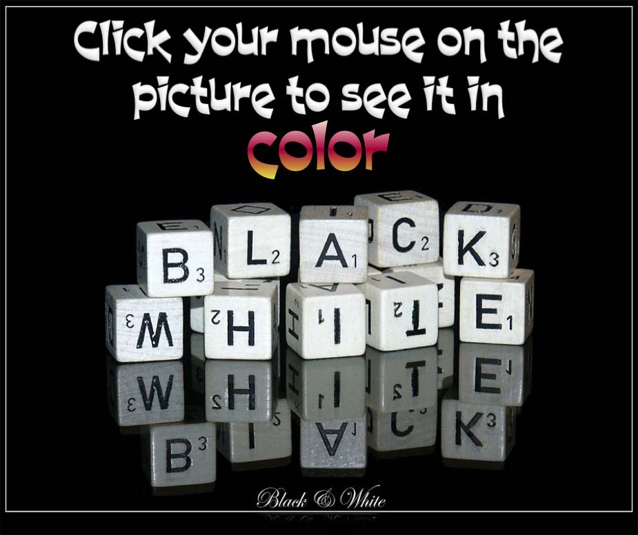 Rondeliers Black and White Ball January 9th 2015