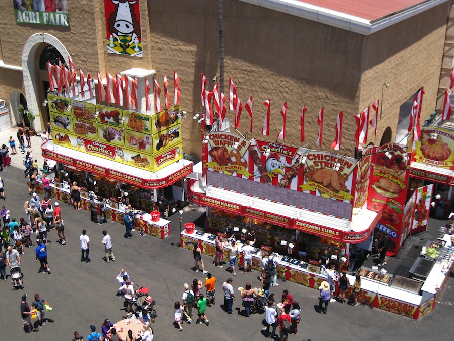 San Diego Fair 2013