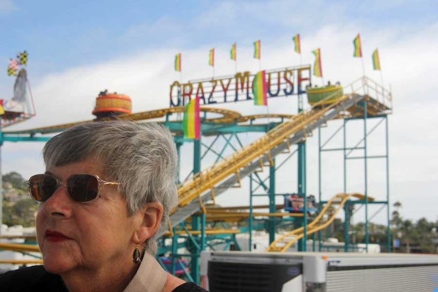 San Diego Fair June 2014