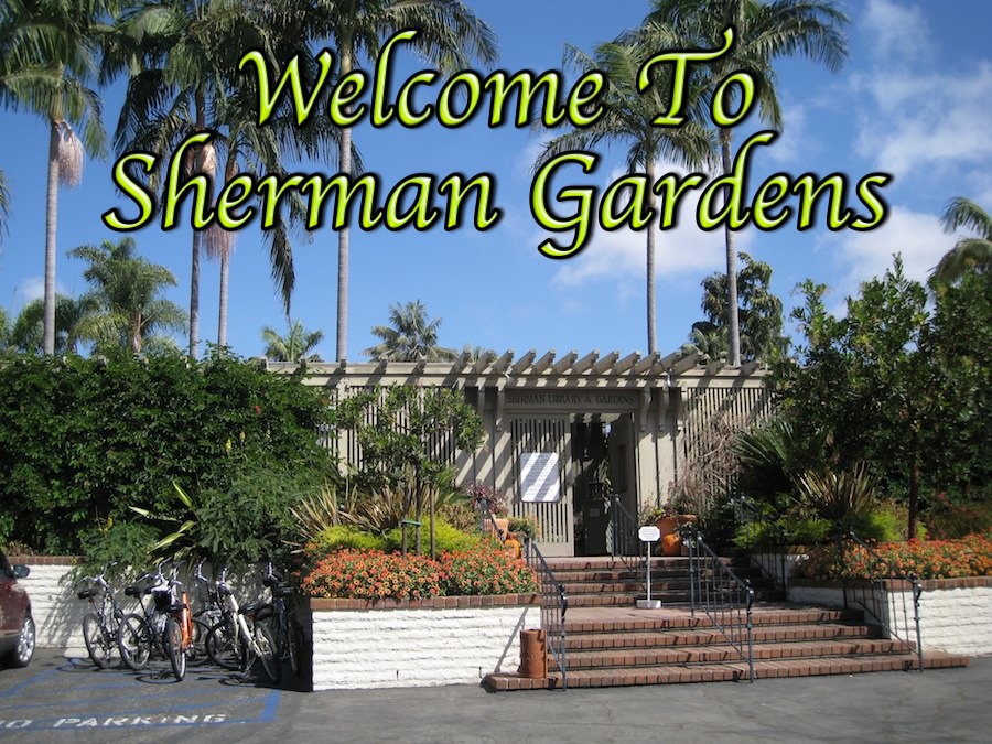 Sherman Gardens 10/8/2013