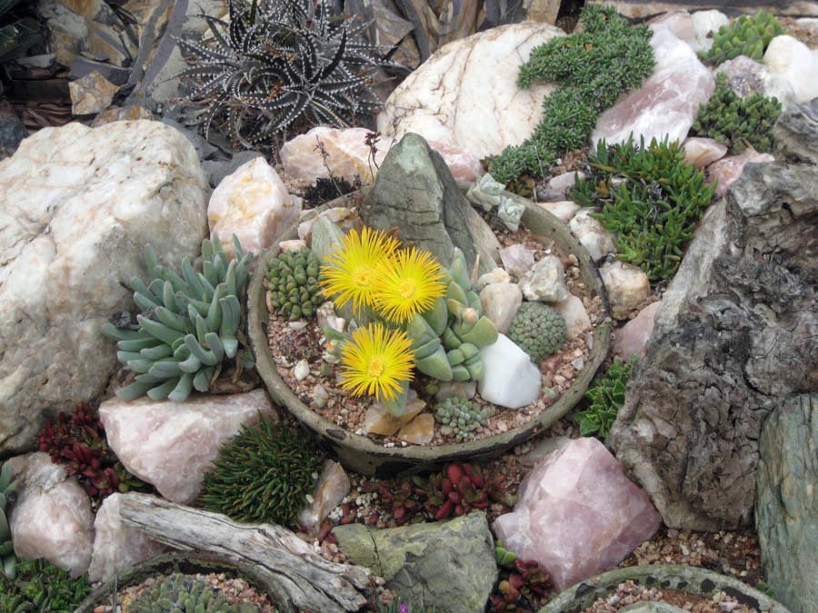 Lunch and a walk through Sherman Gardens in Corona Del Mar January 22, 2015