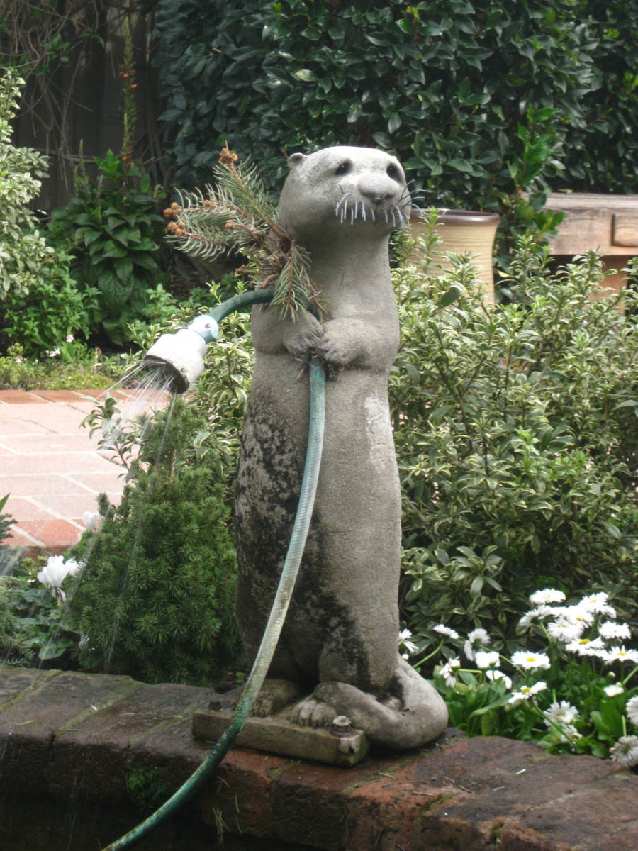 Lunch and a walk through Sherman Gardens in Corona Del Mar January 22, 2015