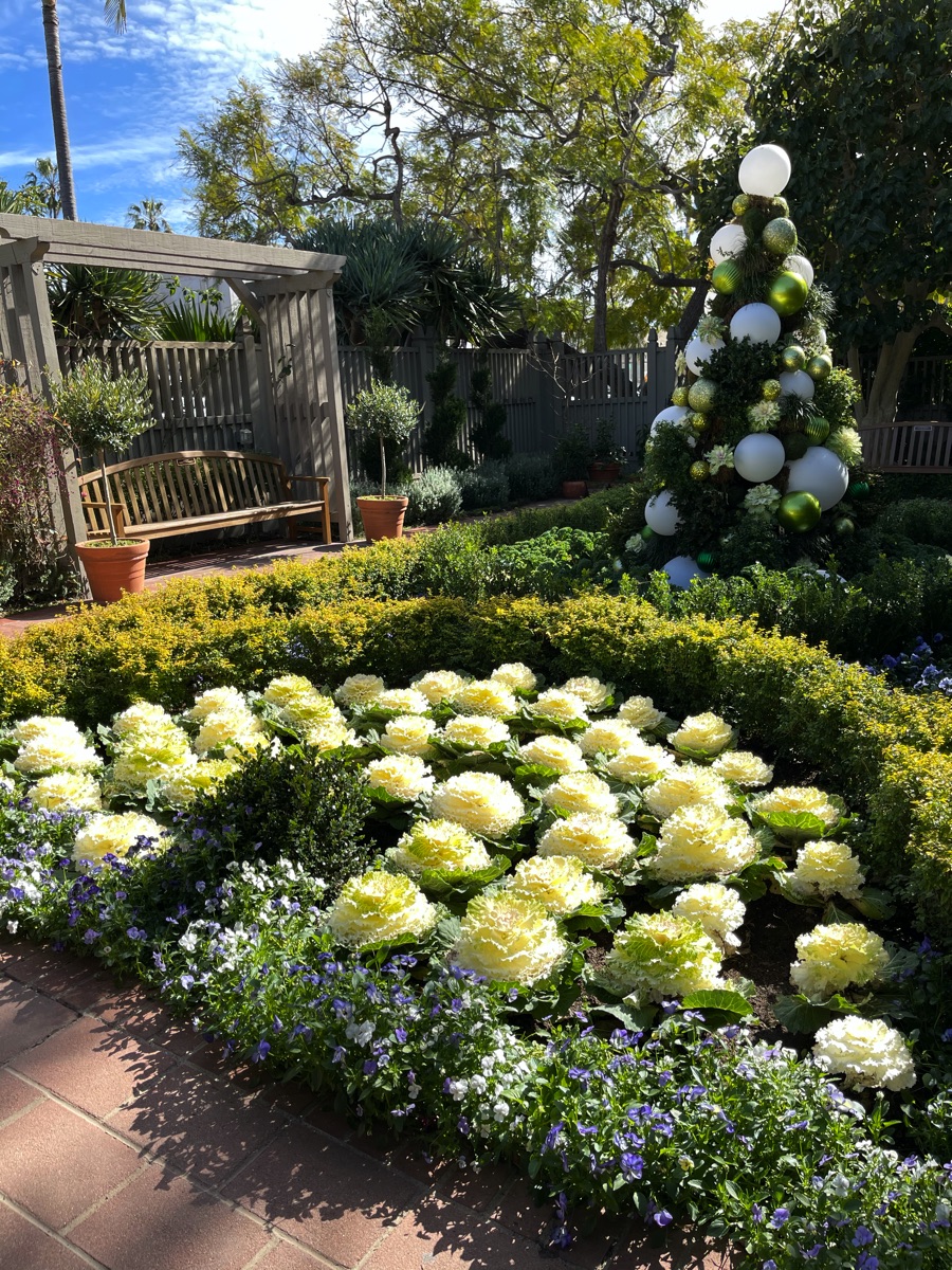 Mary and Paul at Sherman Gardens January 2021