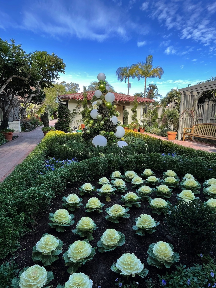 Mary and Paul at Sherman Gardens January 2021