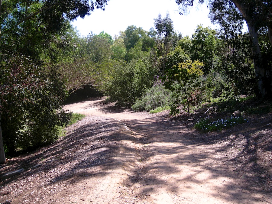 South Coast Botanic Garden April 2012