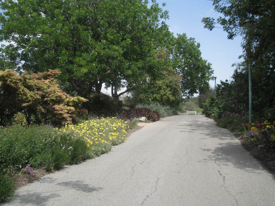 Visiting the South Coast Botanical Garden June 3rd 2015