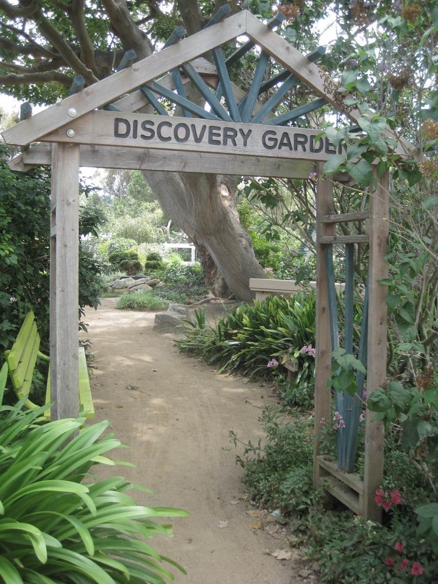 Visiting the South Coast Botanical Garden June 3rd 2015