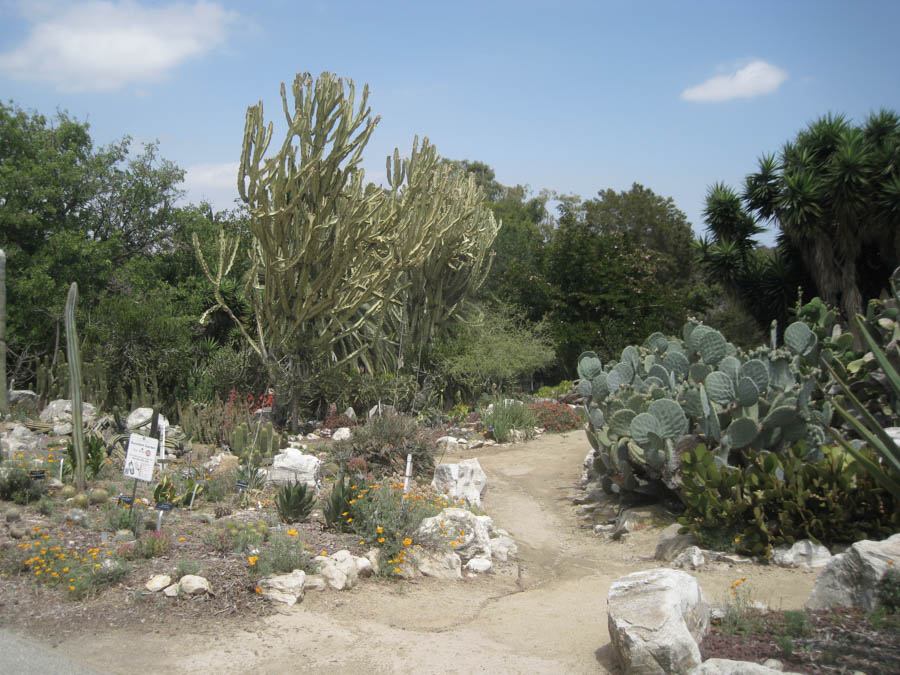 Visiting the South Coast Botanical Garden June 3rd 2015