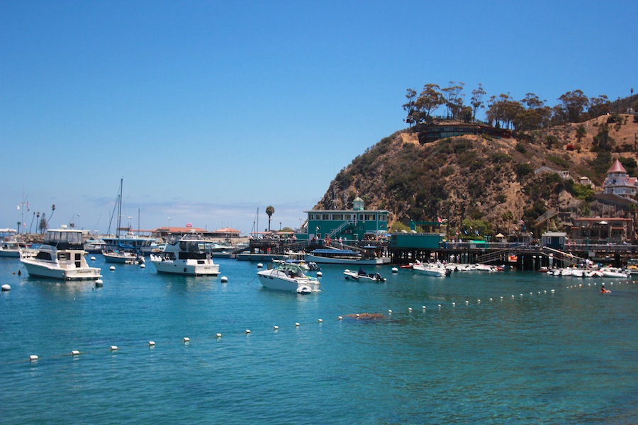 Birthday visit to Catalina 2014