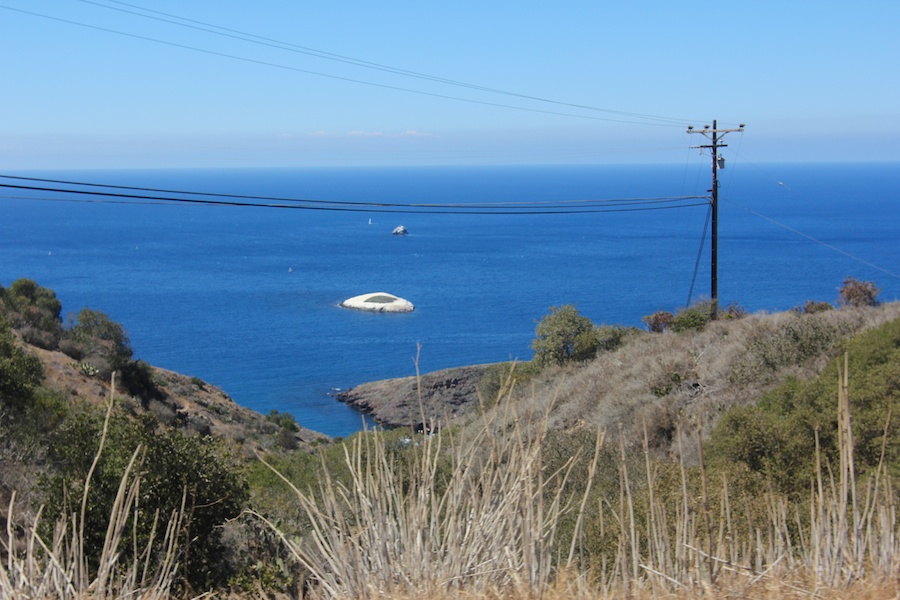 Birthday visit to Catalina 2014