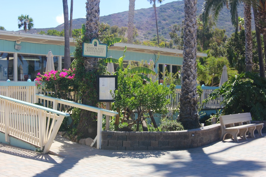 Birthday visit to Catalina 2014