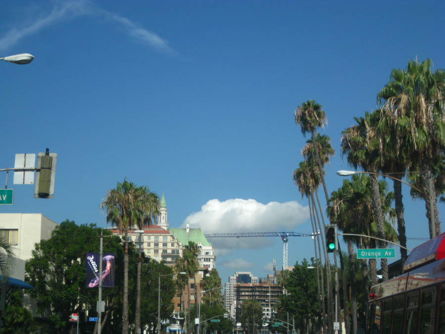 Avalon Catalina to celebrate Sue's birthday 7/10/2015