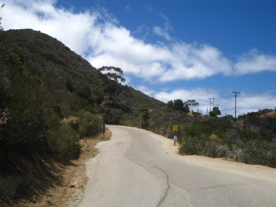 Avalon Catalina to celebrate Sue's birthday 7/10/2015