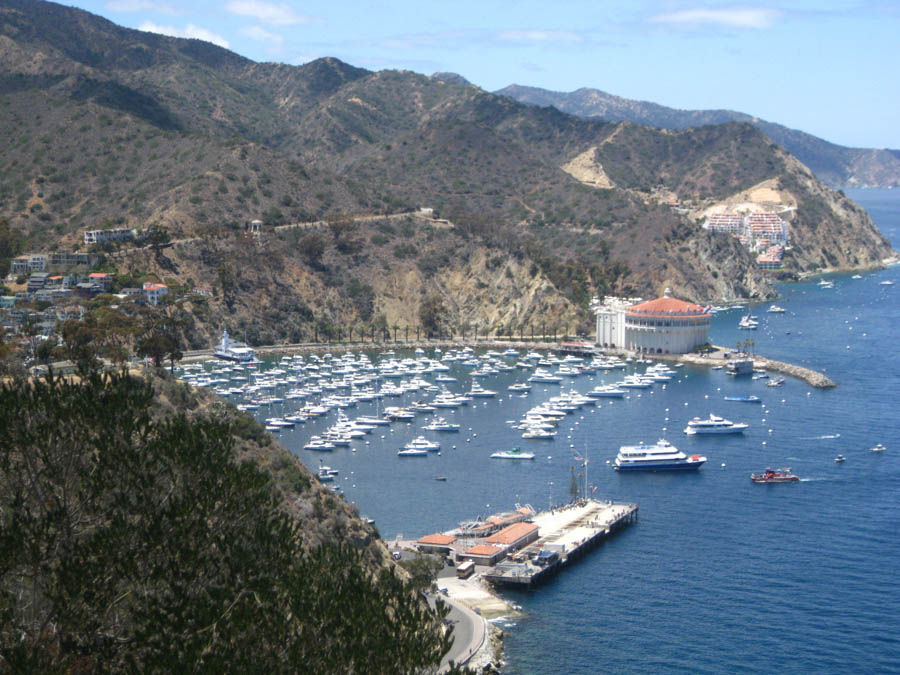 Avalon Catalina to celebrate Sue's birthday 7/10/2015