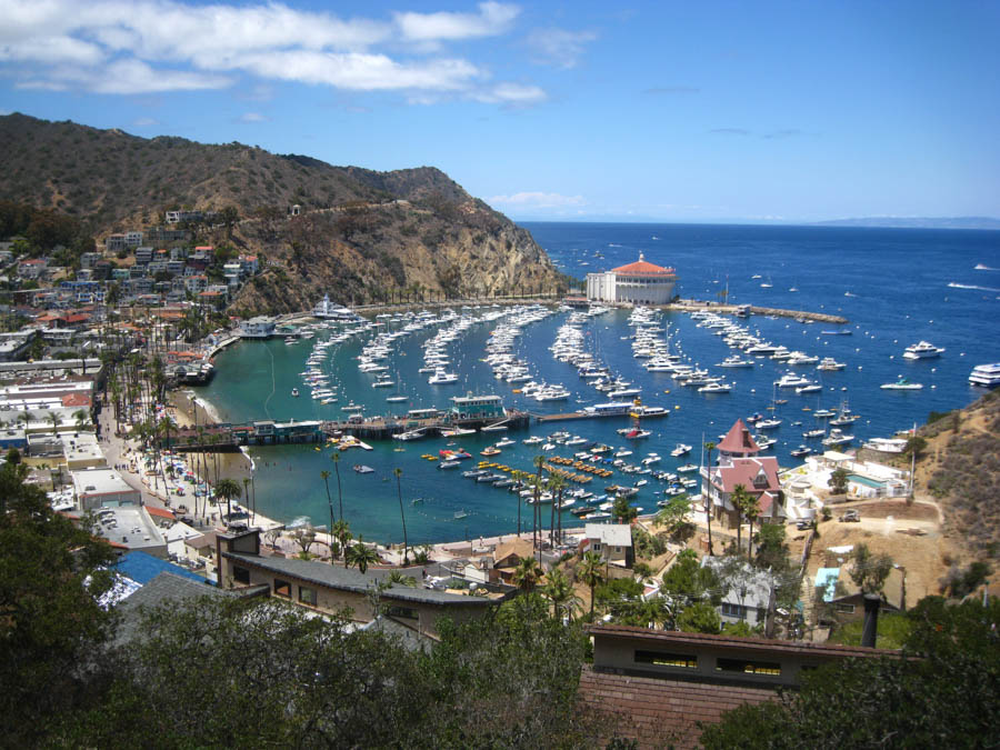 Avalon Catalina to celebrate Sue's birthday 7/10/2015