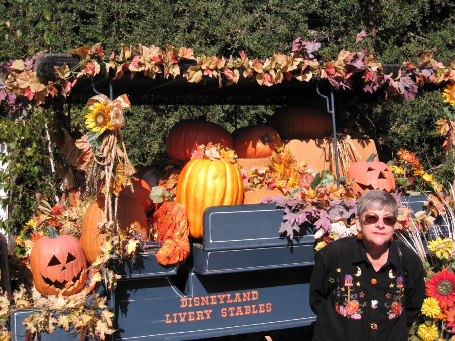 Lifeday #14 at Disneyland October 2011