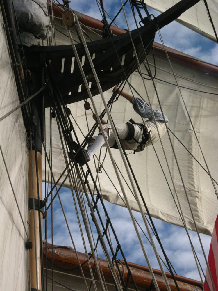 Tall Ships In Newport Harbor January 2010