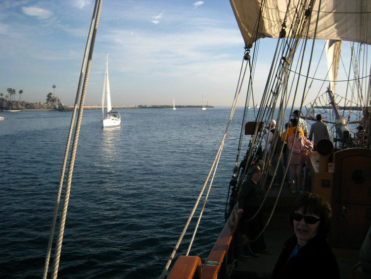 Tall Ships In Newport Harbor January 2010