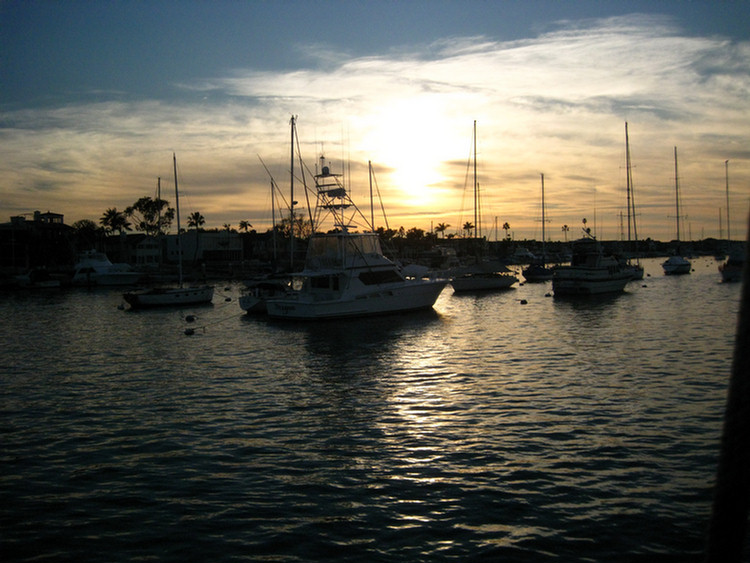 Tall Ships In Newport Harbor January 2010