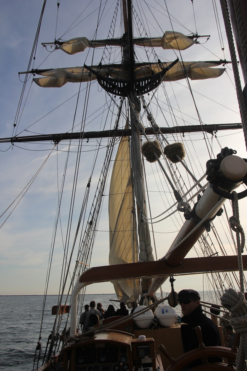 A battle sail in January 2013 on the tall ships