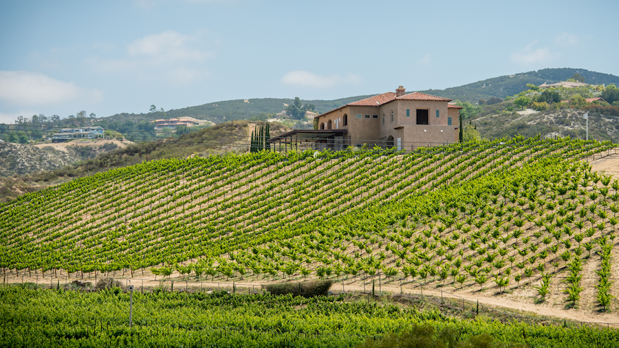 A January 2017 visit to Temecula with Bob and Donna