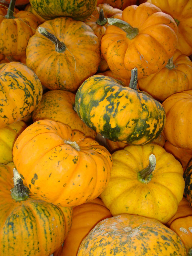 Pumpkins