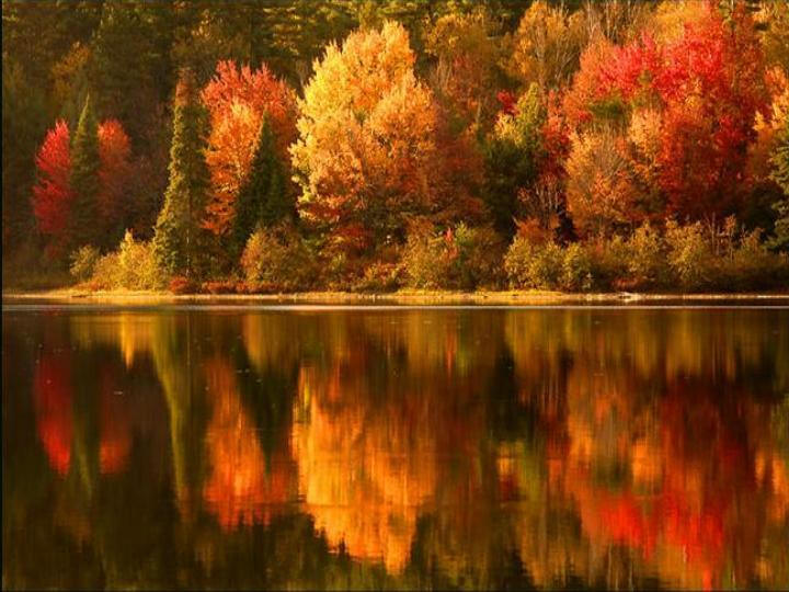 America The  Beautiful