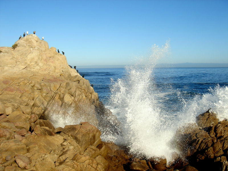 Rocky And Wet