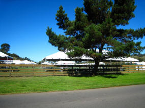 Tomato Fest Being Setup