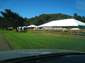 Tomato Fest Being Setup